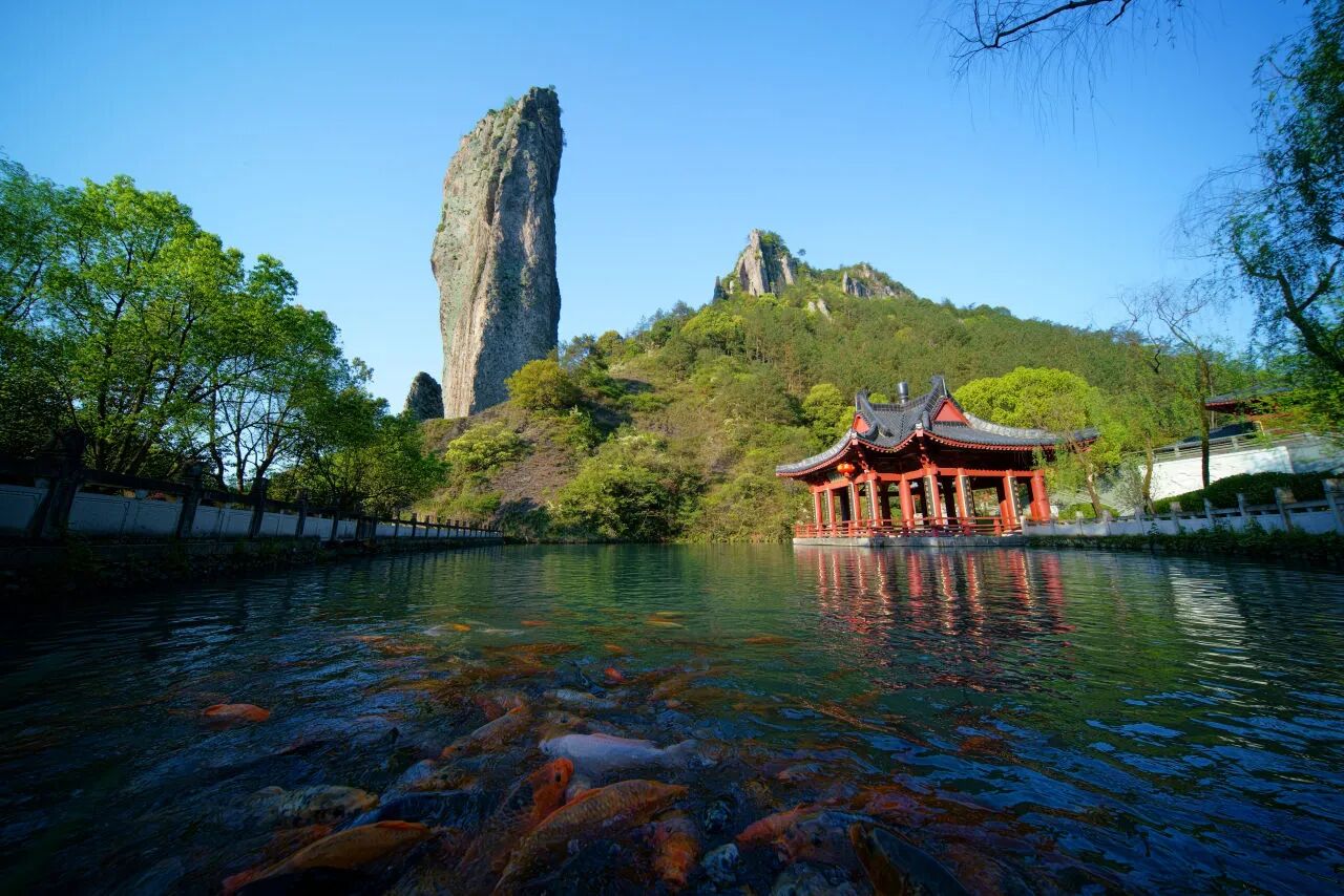 仙都河阳免费游！2026警察节，“警” 彩福利来炸场！